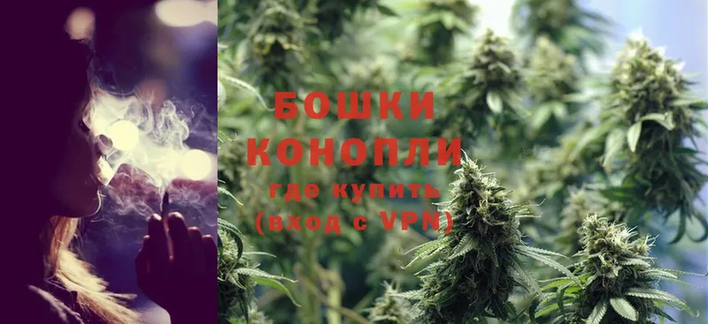 купить  цена  Бежецк  Бошки марихуана SATIVA & INDICA 